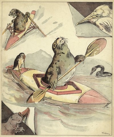Foca remando de Richard Andre